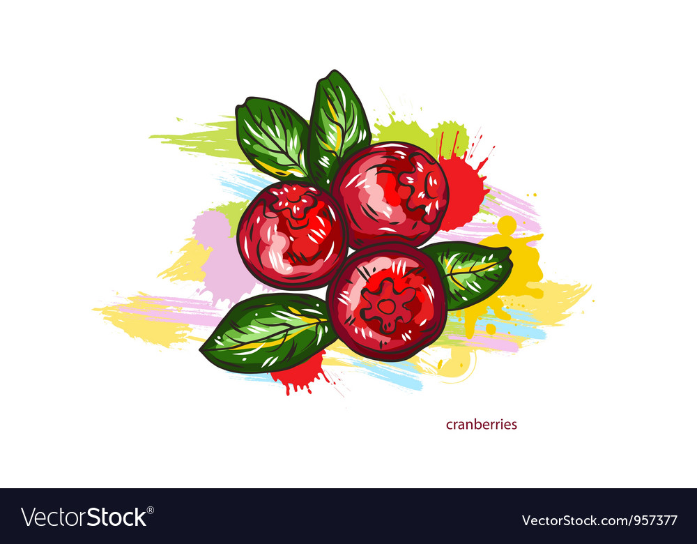 Cranberries with colorful splashes