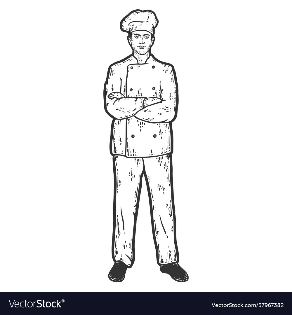 Man cook in uniform sketch scratch board vector image Man cook in uniform sketch scratch board