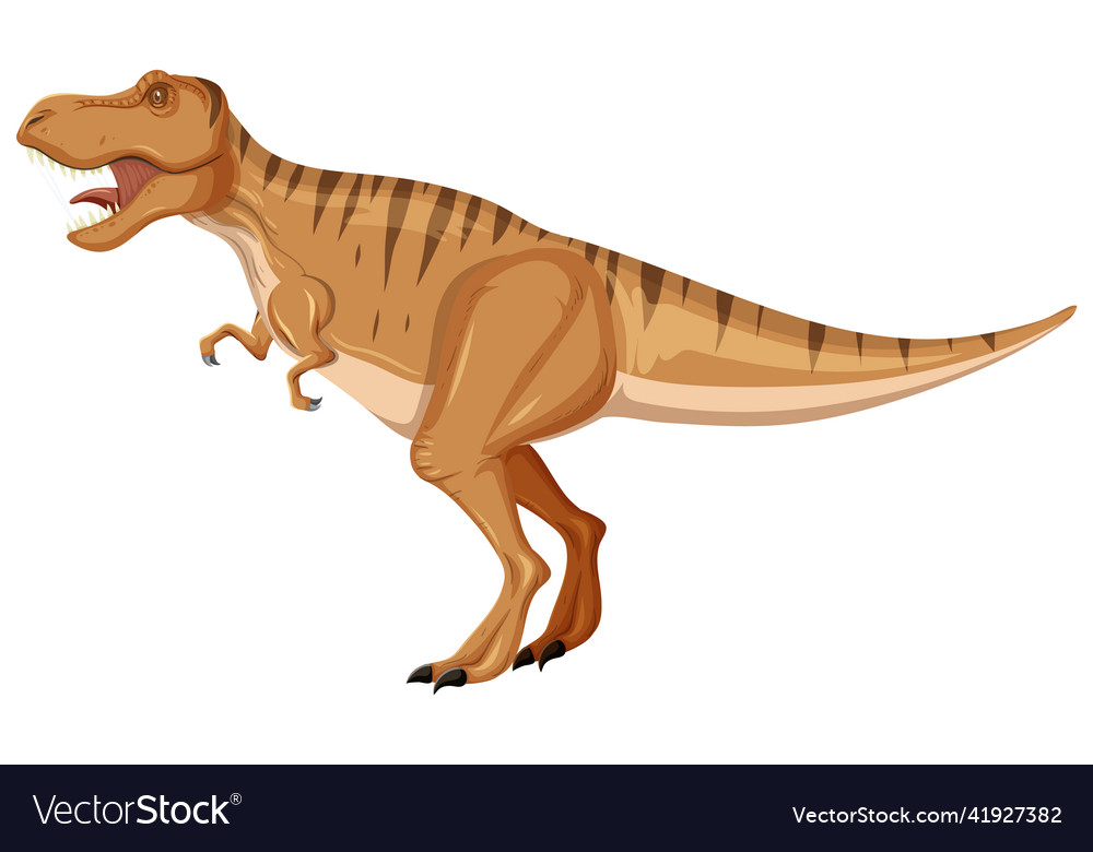 Tyrannosaurus rex dinosaur on white background