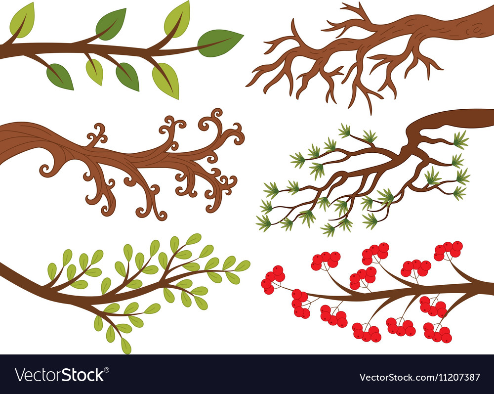 Tree branches Royalty Free Vector Image - VectorStock