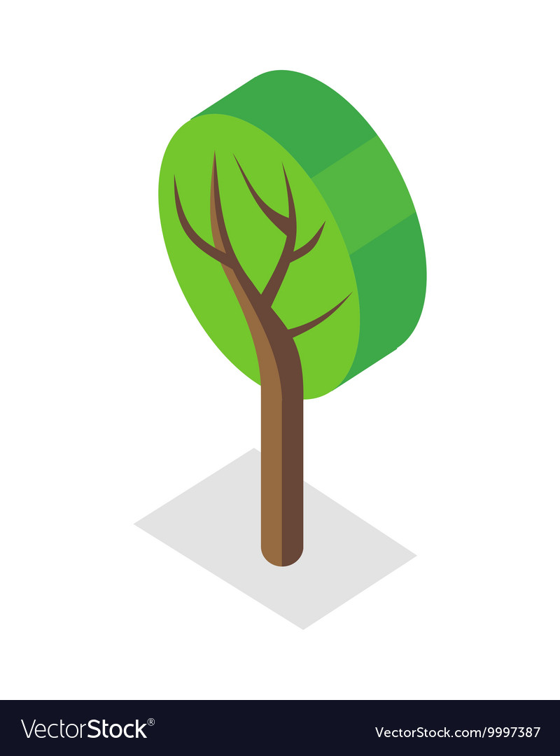 Tree in isometric projection