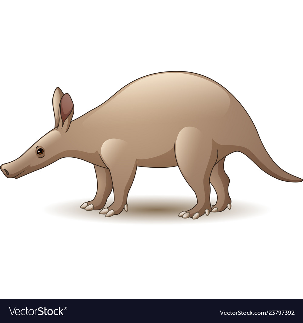 Cartoon aardvark isolated on white background Vector Image