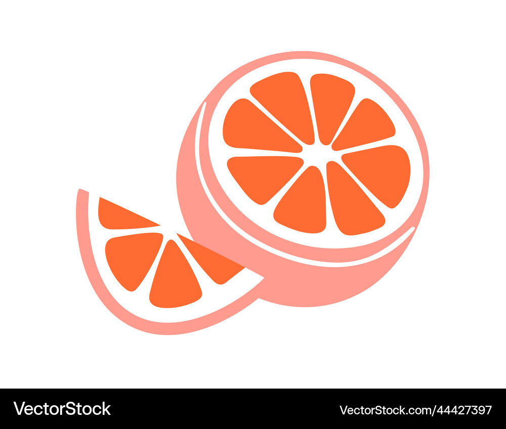Grapefruit cut slice and cross section Royalty Free Vector