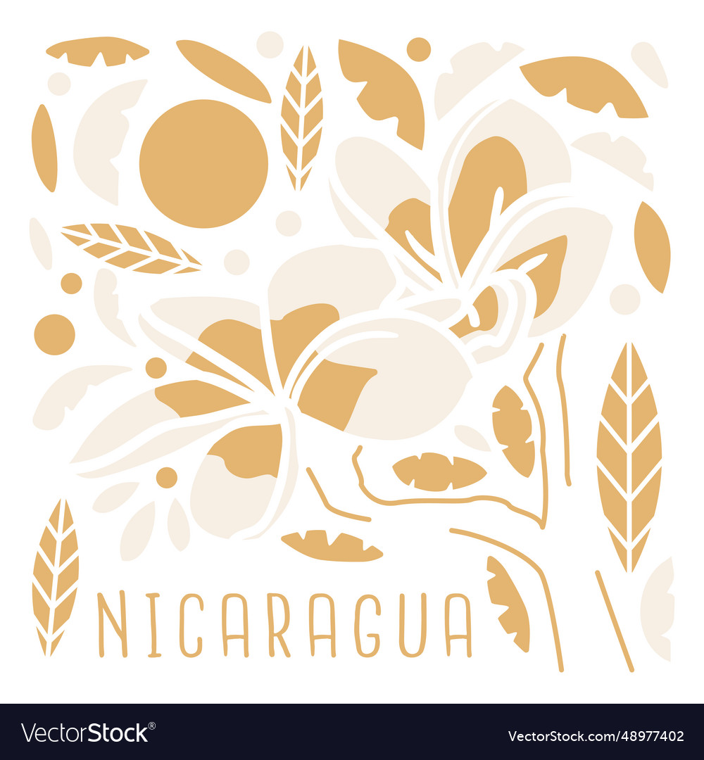 Sacuanjoche flower nicaragua composition