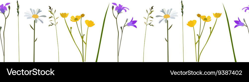 Seamless pattern wild flowers Royalty Free Vector Image