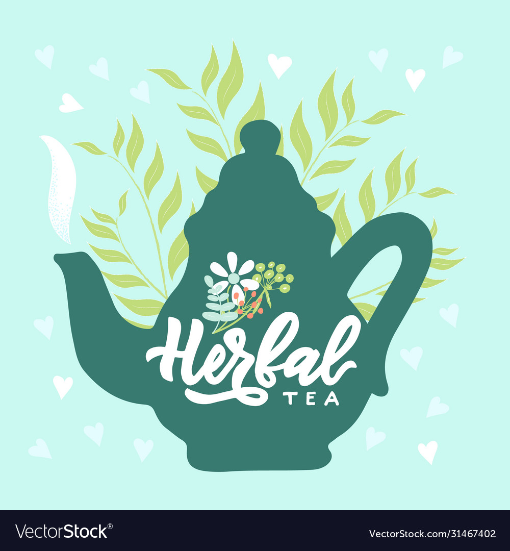 Template package with hand draw teapot text vector image Template package with hand draw teapot text