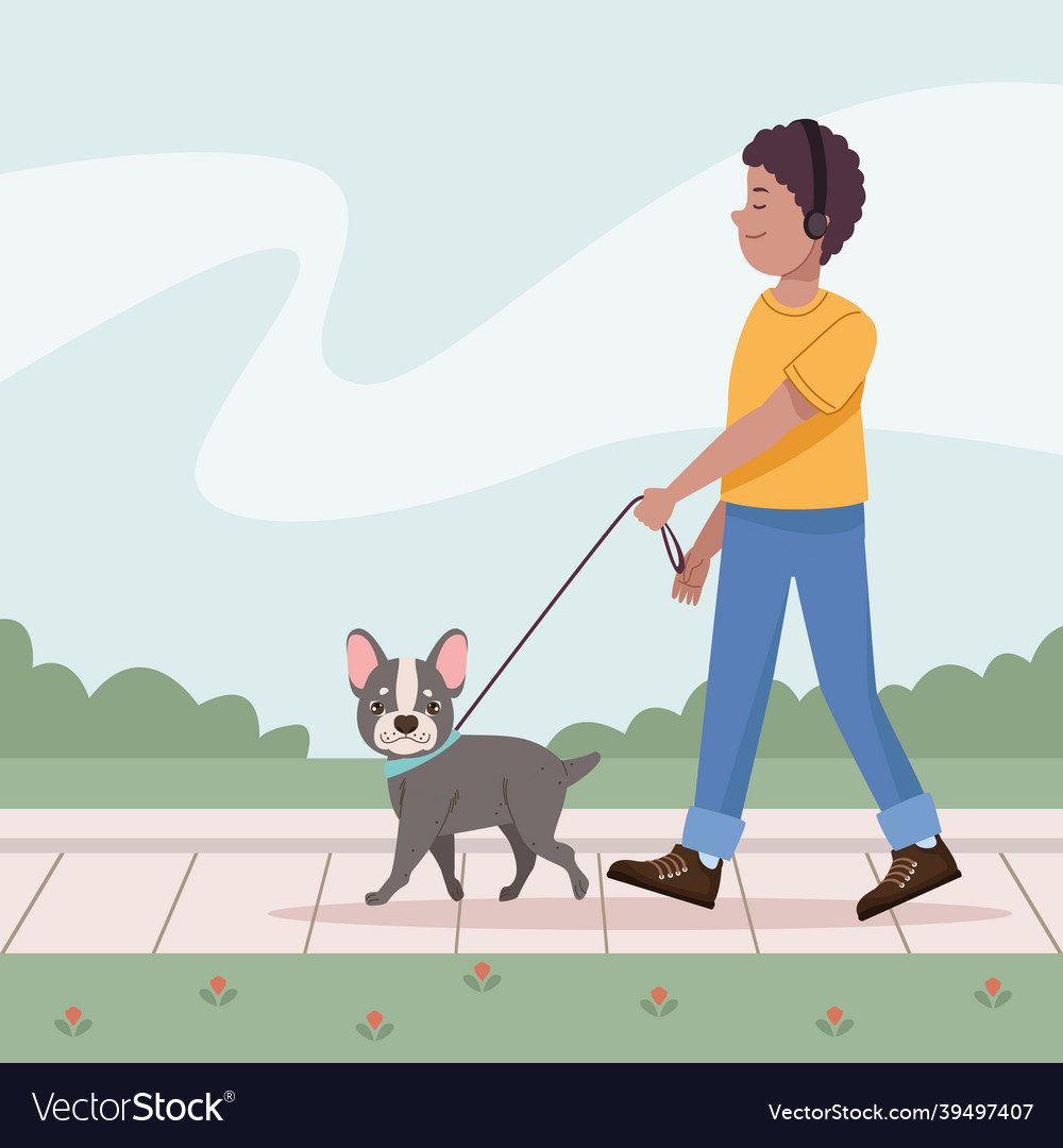 Man Walking With French Bulldog Royalty Free Vector Image