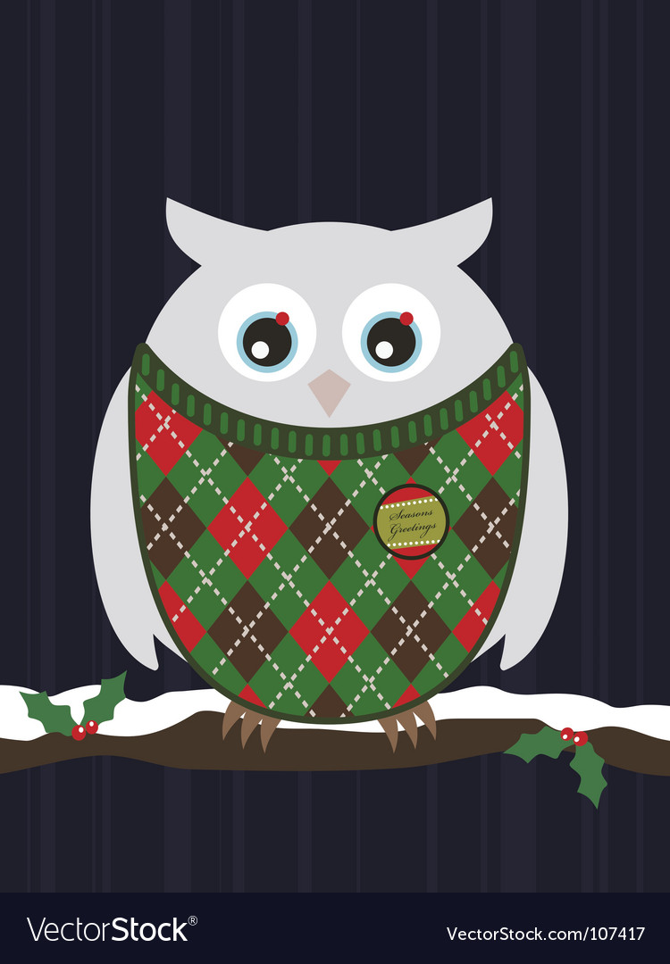 Snowy Christmas owl Royalty Free Vector Image - VectorStock