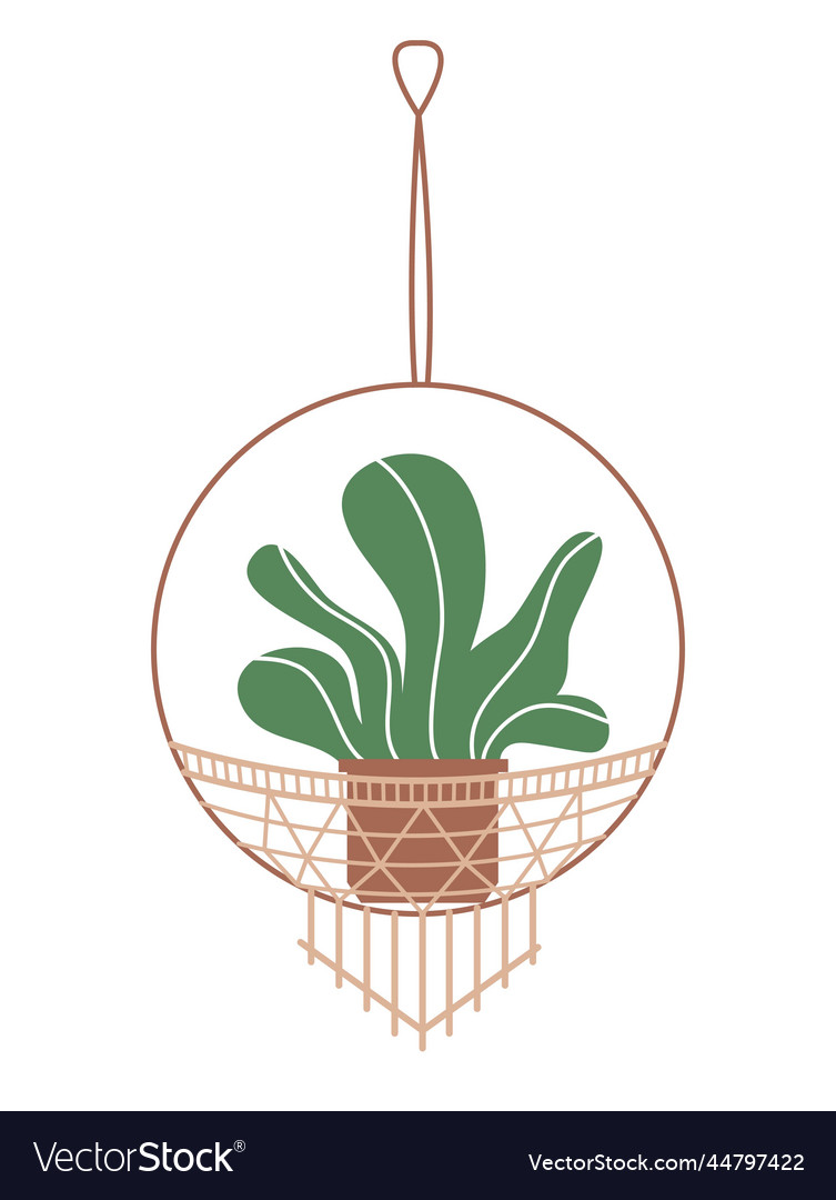 Houseplant on macrame hanger