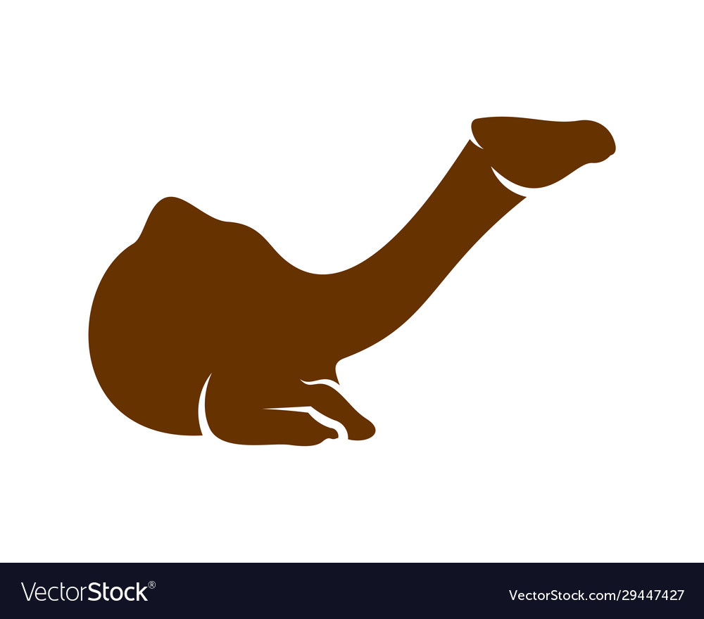 Camel logo animal graphic design template