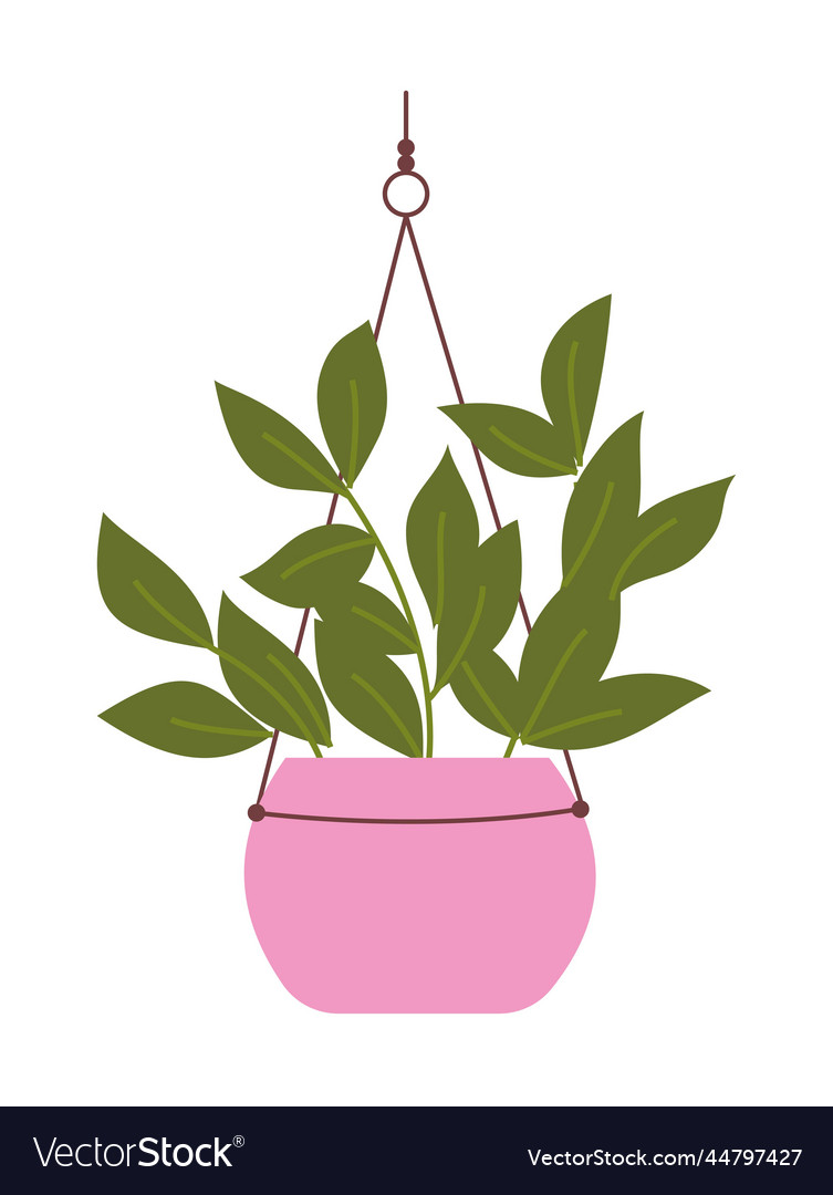 Houseplant on macrame hanger Royalty Free Vector Image