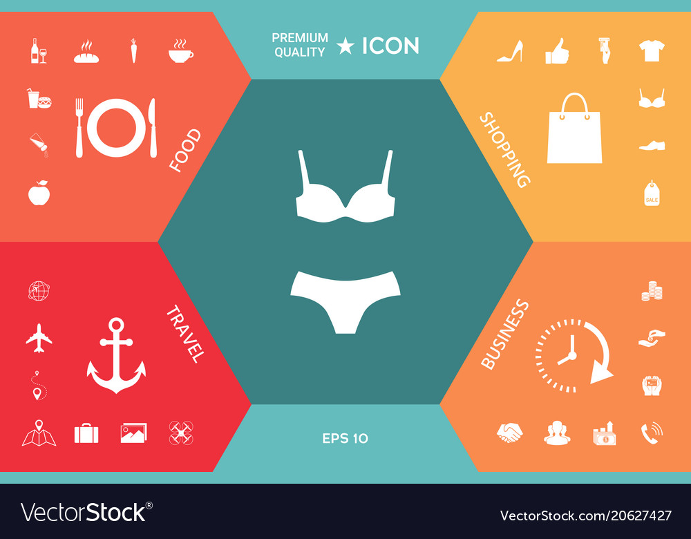 Set of lingerie or swimsuit two-piece bikini Vector Image