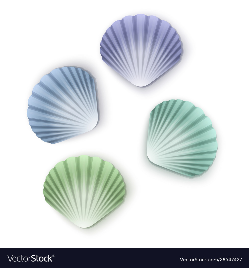 Set Scallop Muscheln Cartoon