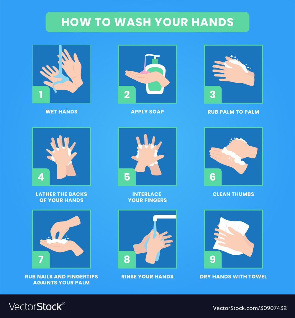 How To Wash Your Hands Antibacterial Prevention Vector Image