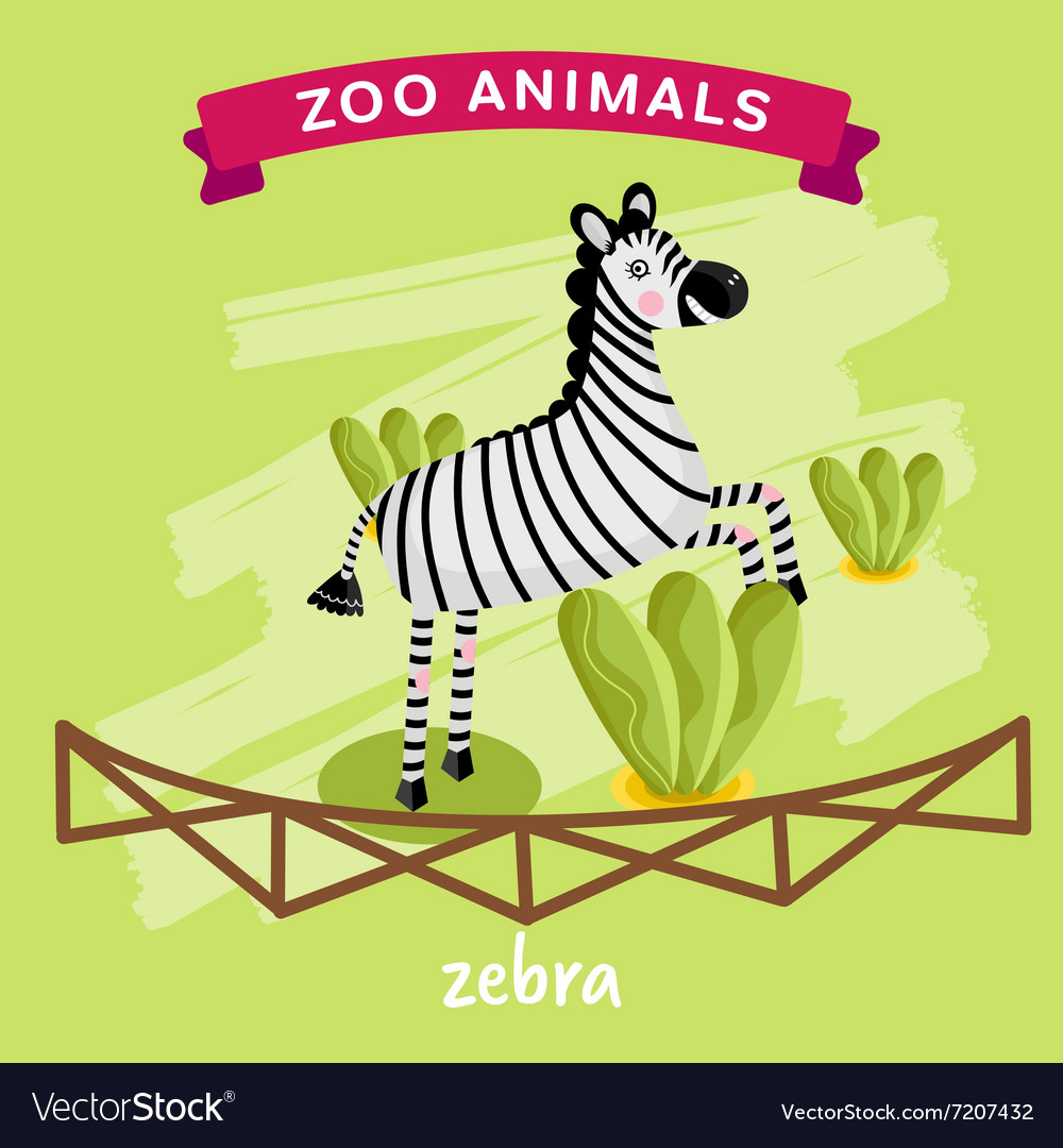 Zoo animal zebra