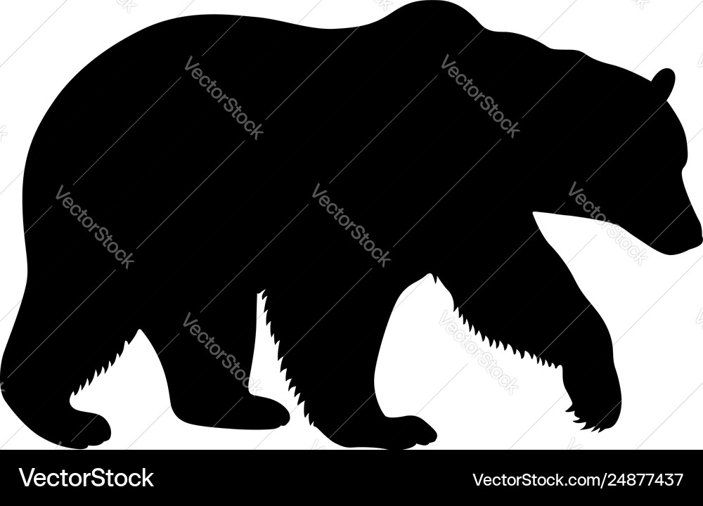 Brown bear Royalty Free Vector Image - VectorStock