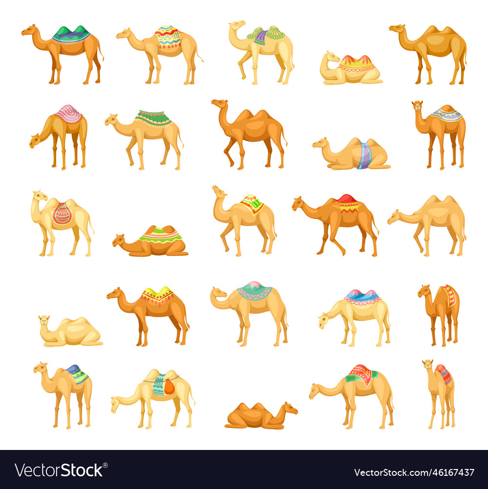 Camel Icon Set - Desert Animals