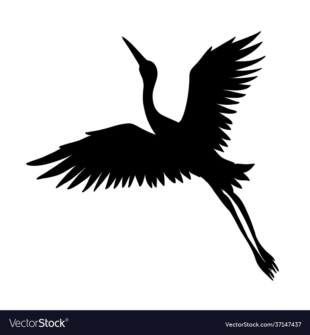 Silhouette a flying crane on white Royalty Free Vector Image