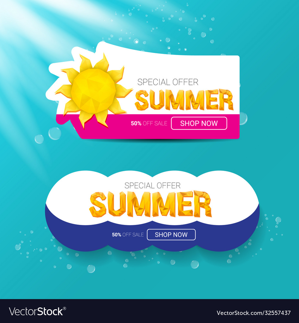 Special offer summer label design template Vector Image Special offer summer label design template