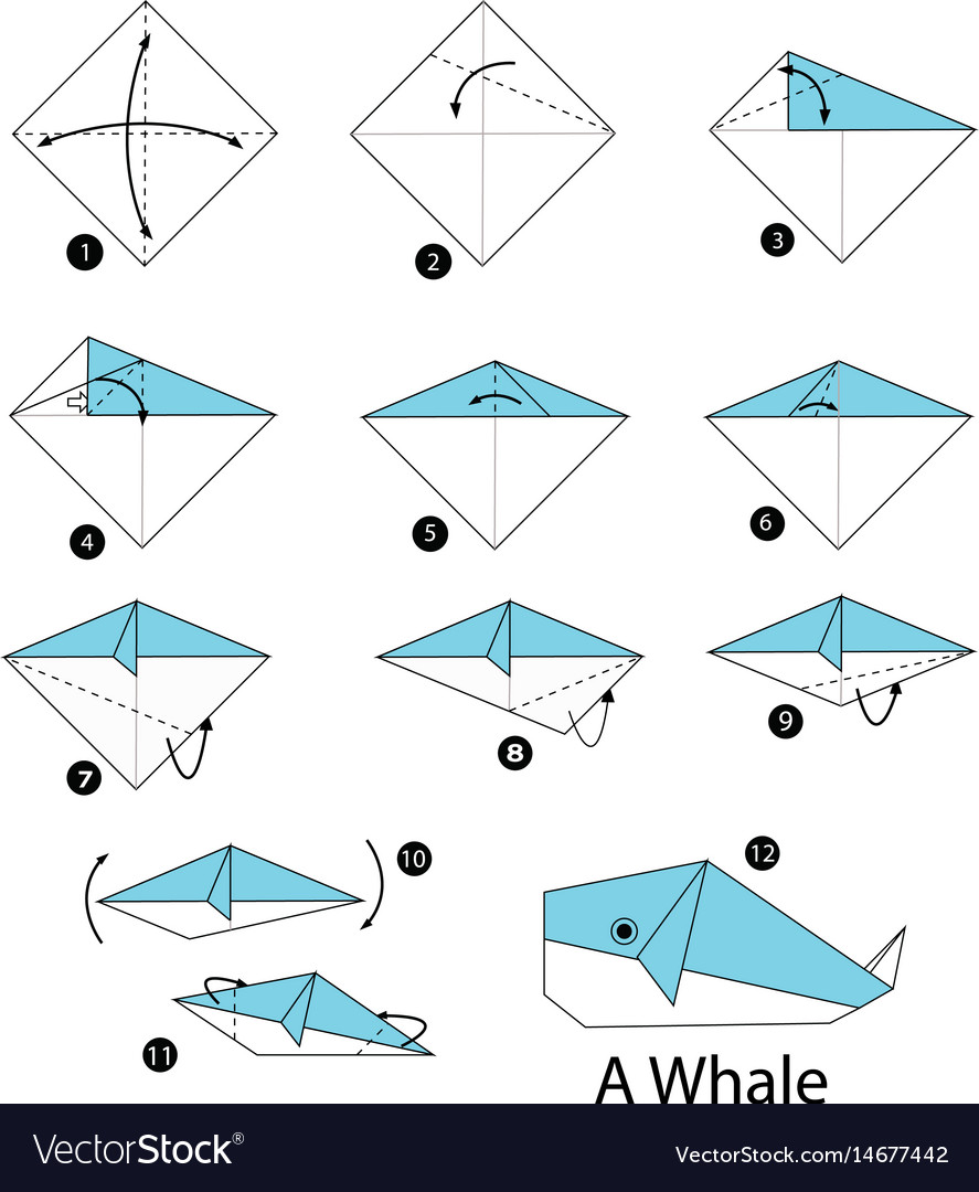 Step by instructions how to make origami Vector Image