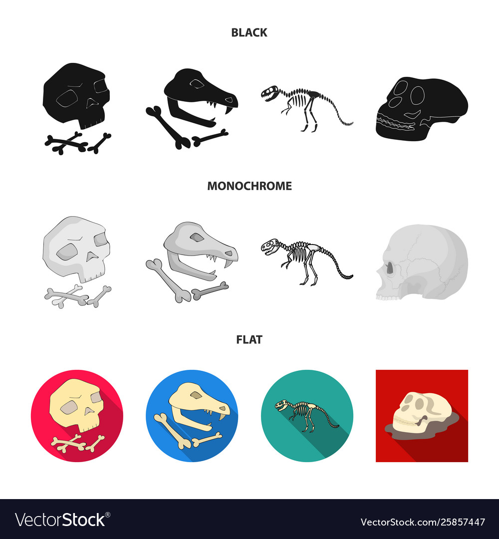 Design skeleton and character sign set