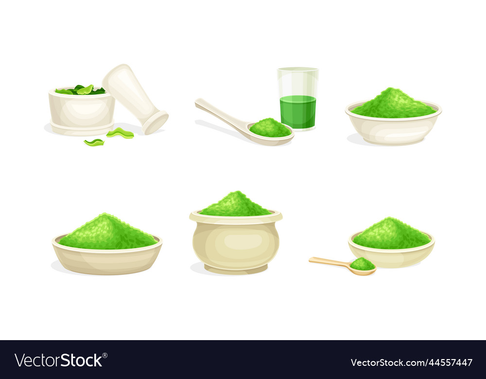 Spirulina dietary supplements set fresh green Vector Image