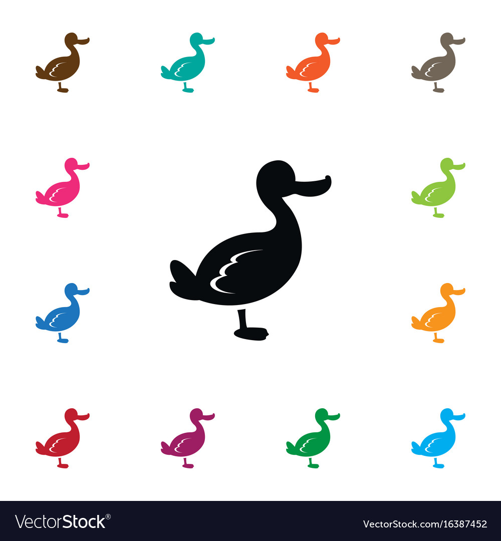 Isolated duck icon canard element can