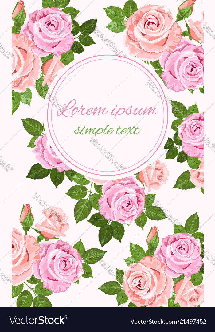 Rosa und beige Rosen Blumendekor vector image Rosa und beige Rosen Blumendekor