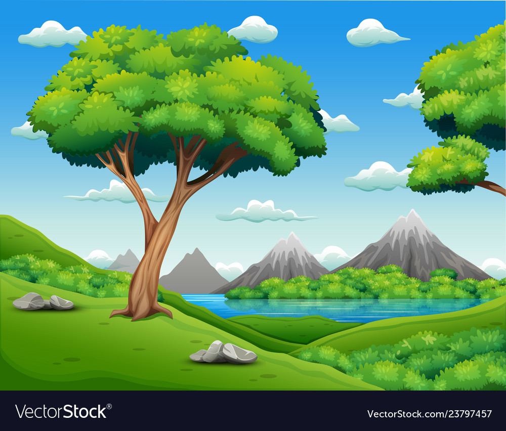 Forest landscape with beautiful nature background Vector Image