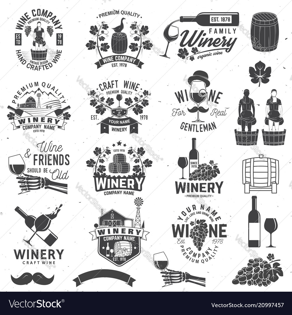 Set of winer company badge sign or label Vector Image