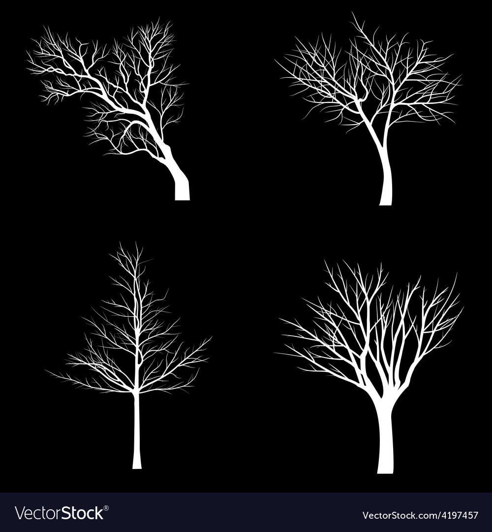 Trees with dead branch