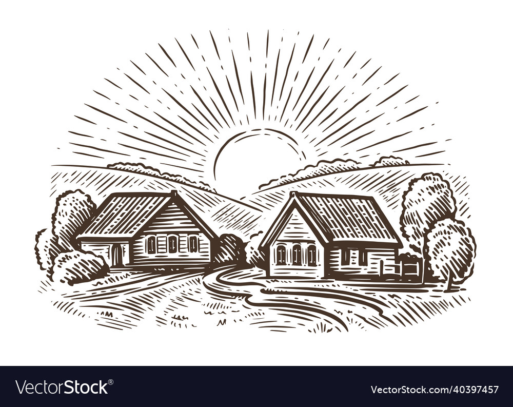 Village with fields and sun farm agriculture Vector Image