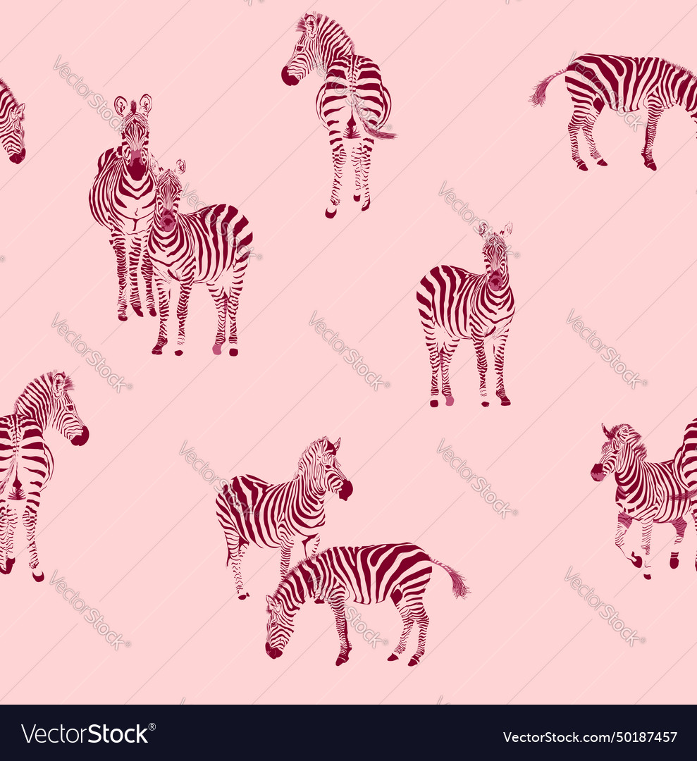 Zebra draw seamless pattern vector image Zebra draw seamless pattern