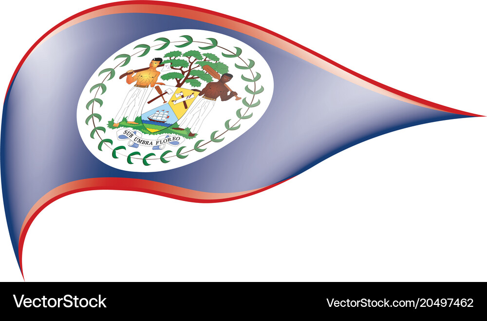 Belize flag Royalty Free Vector Image - VectorStock