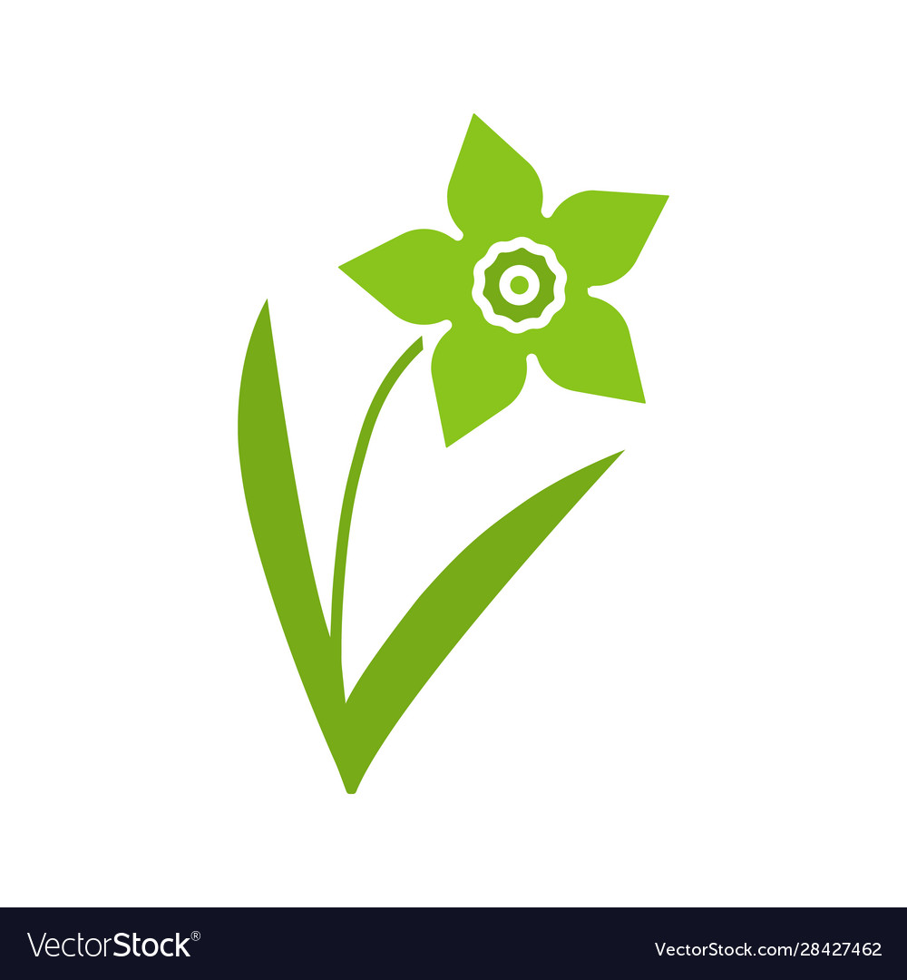 Daffodil glyph color icon Royalty Free Vector Image