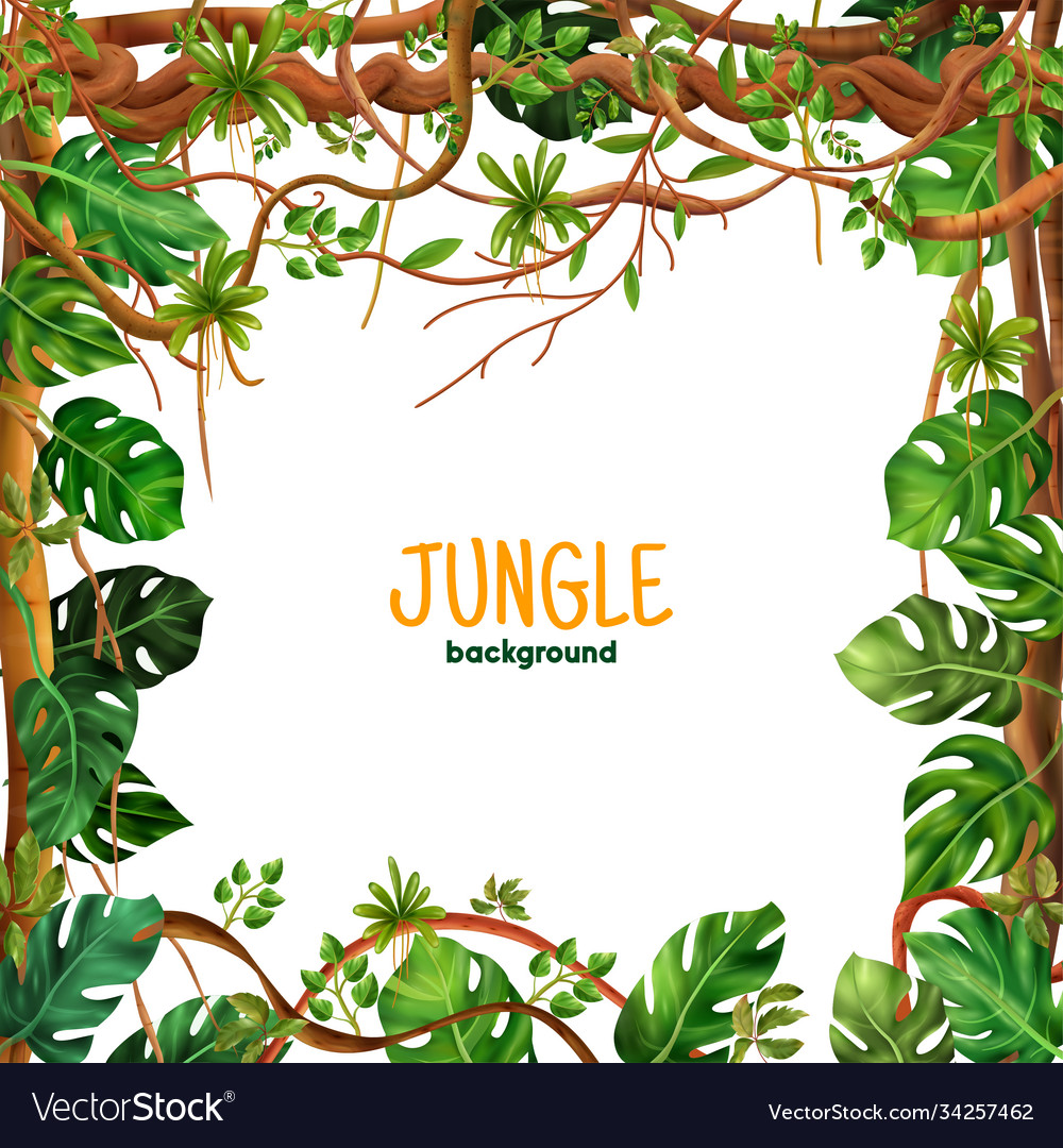 Realistic jungle liana frame Royalty Free Vector Image