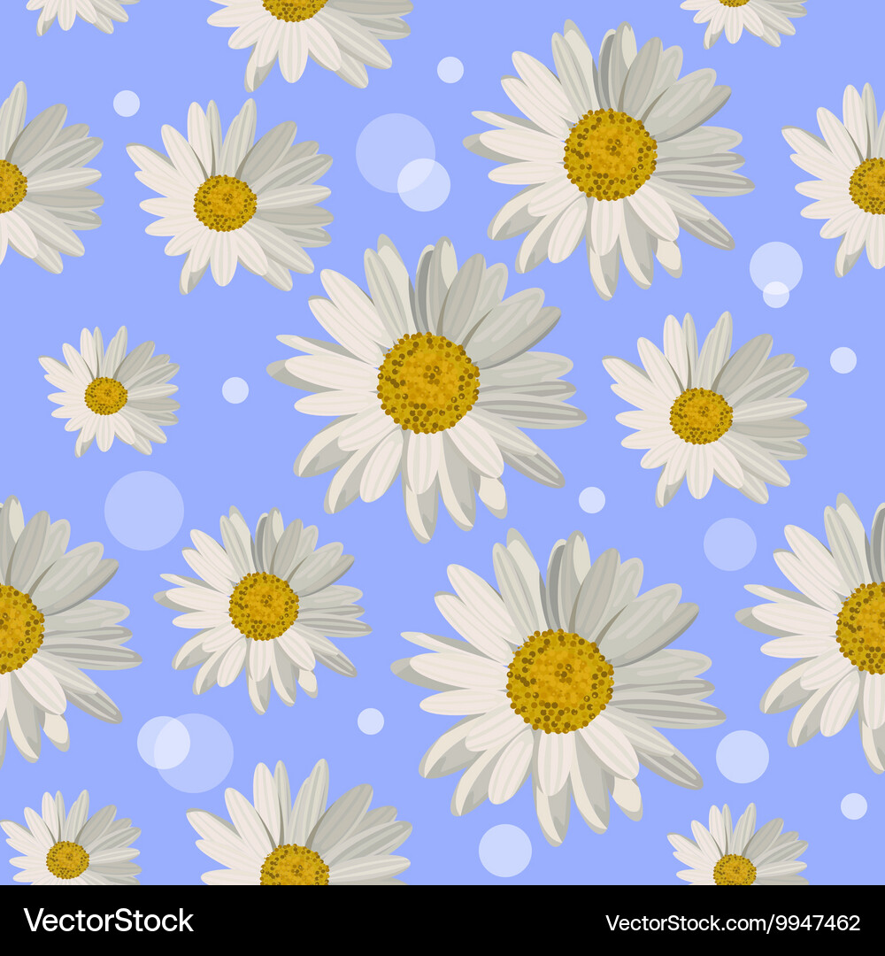 Seamless pattern with daisy flowers Royalty Free Vector