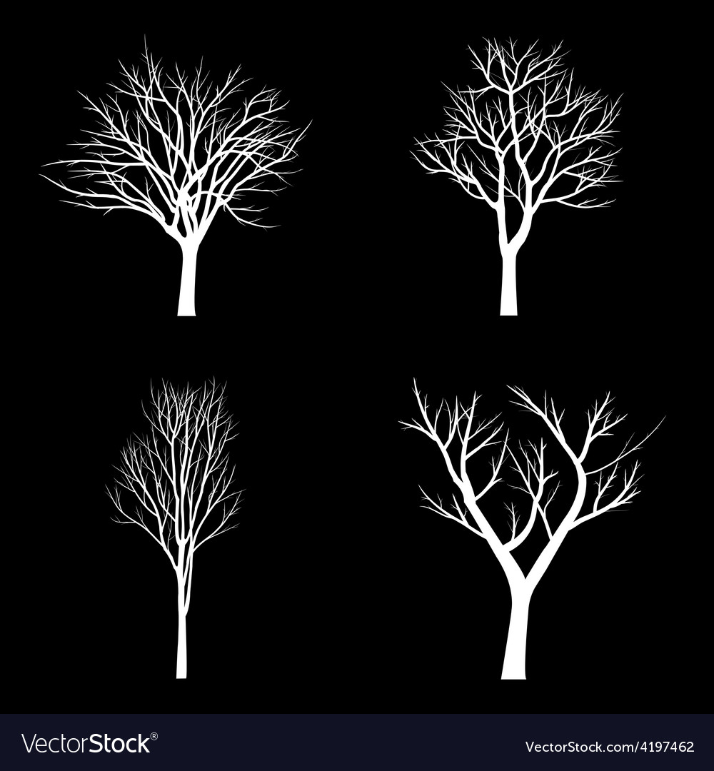 Trees with dead branch