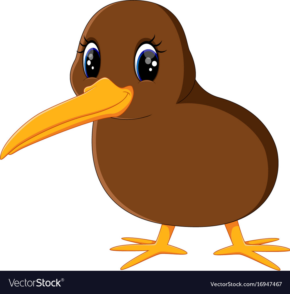 A close up kiwi bird Royalty Free Vector Image