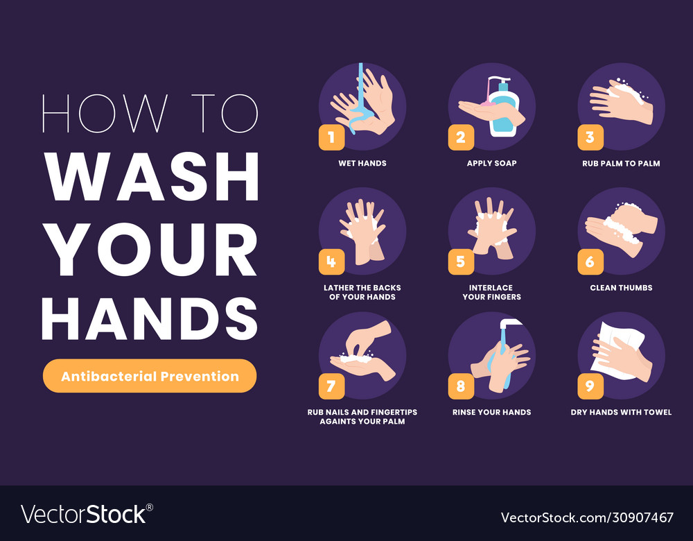 How to wash your hands antibacterial prevention Vector Image