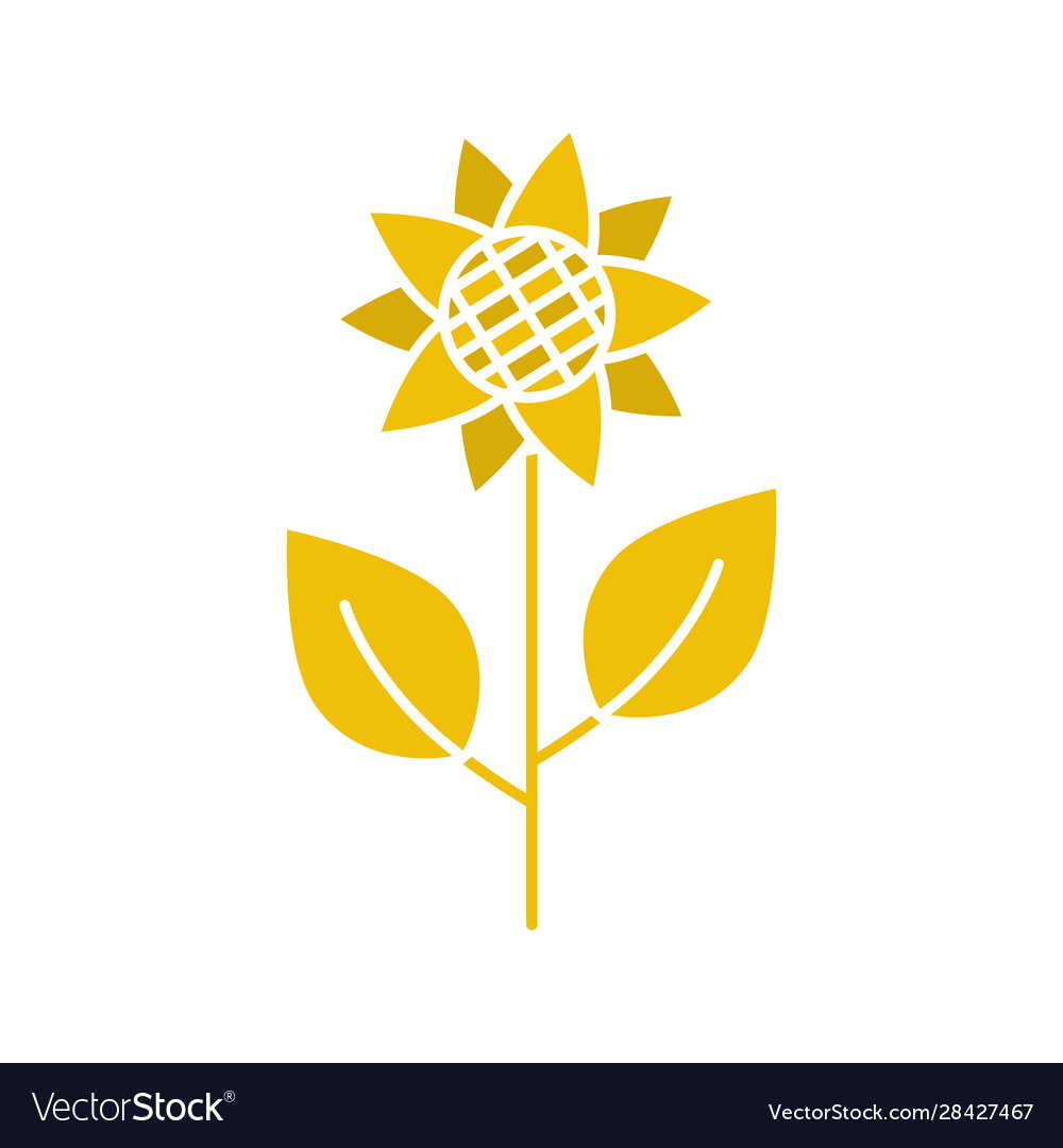 Sunflower glyph color icon vector image Sunflower glyph color icon