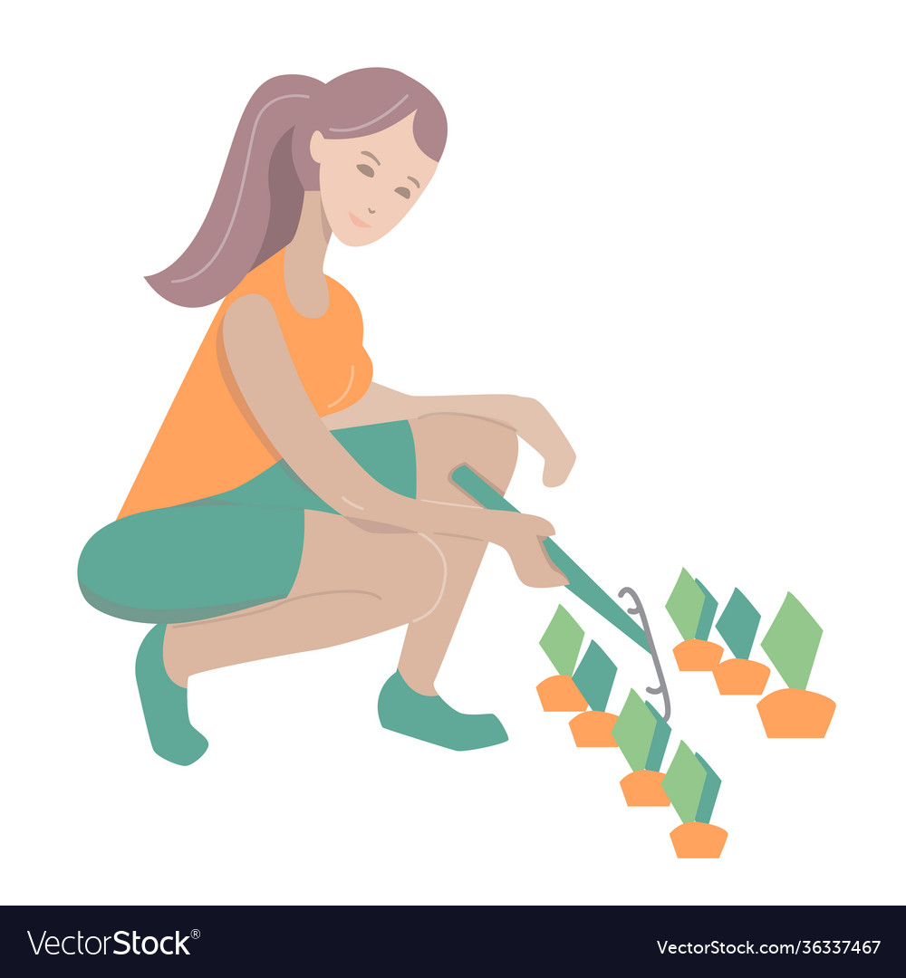 Woman farmer harvesting carrot organic fresh