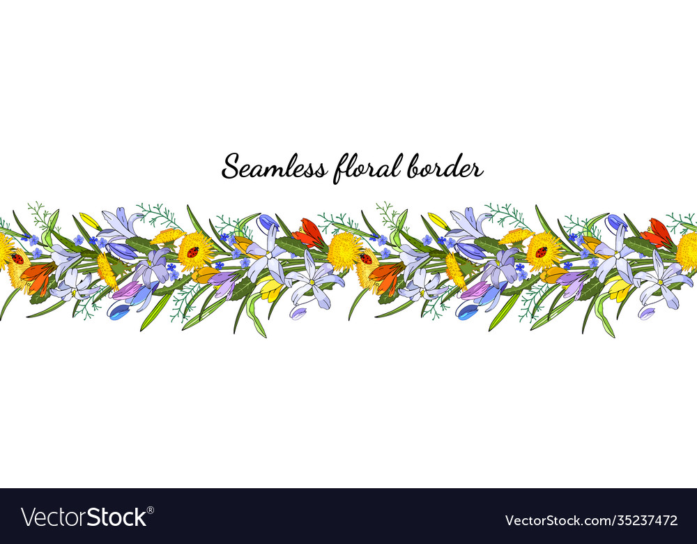 Seamless spring flower border isolated on white Vector Image