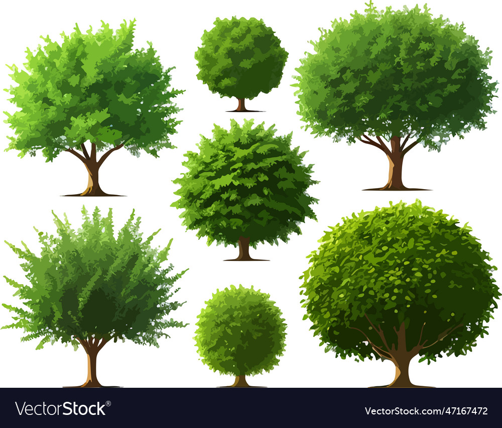 Wonderful forest trees bushes plants art