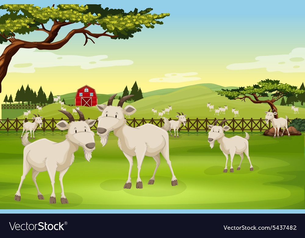 Goats Royalty Free Vector Image - VectorStock