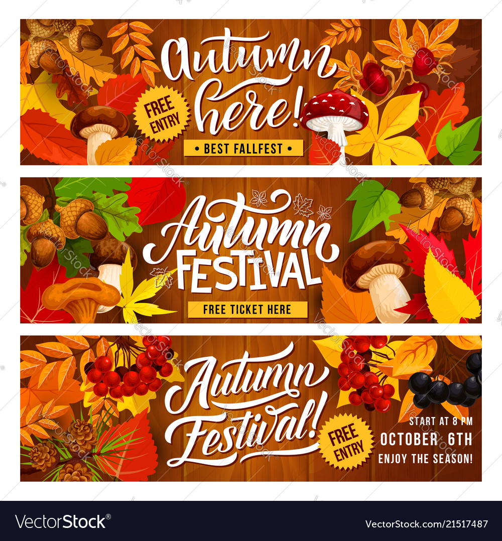 Autumn harvest festival invitation banner design Vector Image