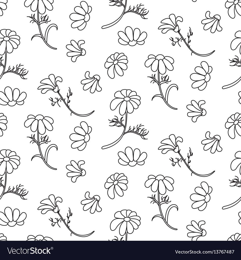 Chamomile outline seamless floral pattern Vector Image