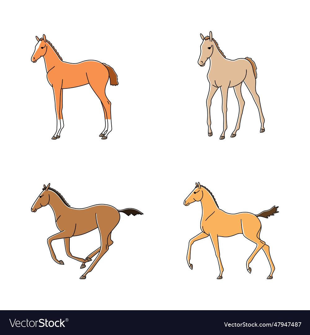 Funny foals in different poses Royalty Free Vector Image