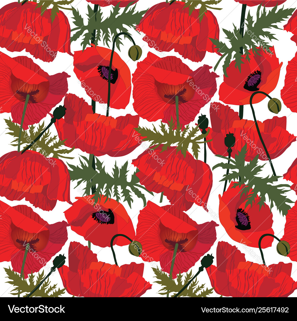 Floral seamless pattern flower background Vector Image