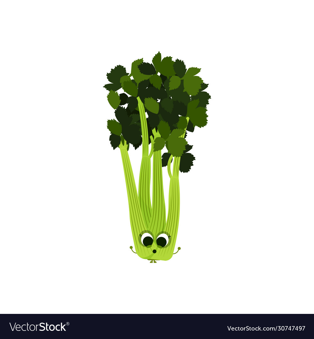 Isolated celery cartoon